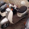 Honda Scoopy