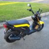 img_7950 img_7950